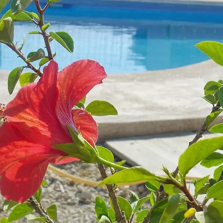 With 2 Bedrooms In Calpe, With Wonderful Sea View, Private Pool Villa *